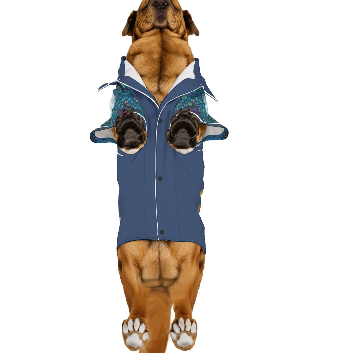 PGP Holiday Margeaux Limited Edition 2025 Large Breed Pet Jammy–Cozy & Breathable | March Exclusive