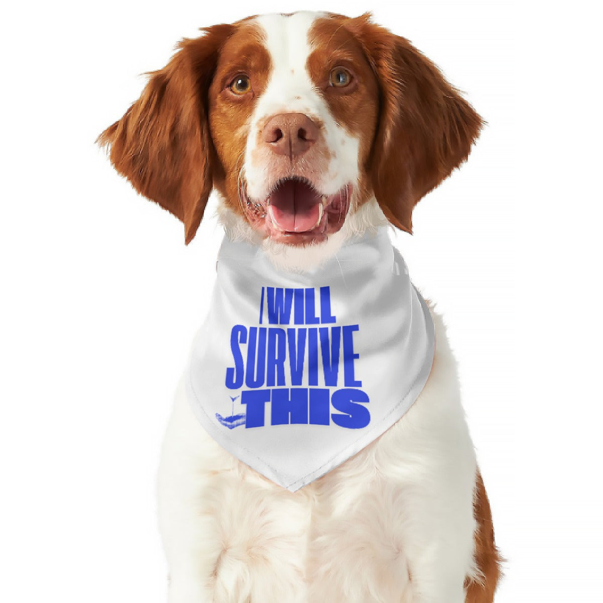 PGP Holiday Resilience Pet's Scarf | Fashionable & Comfortable Accessory